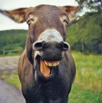 Featured image of post 【开怀一笑】80后回忆童年，各种奇葩顺口溜，你记得吗？