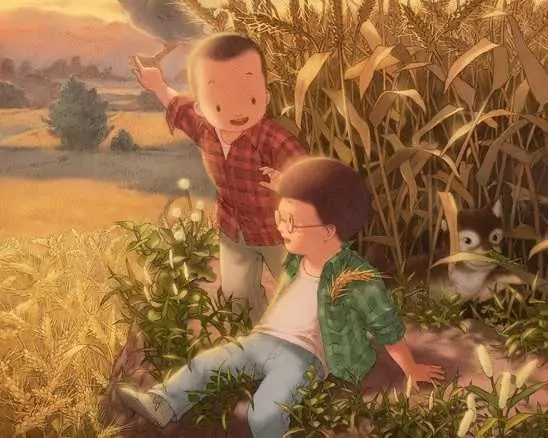 儿时经典回忆图片之稻田