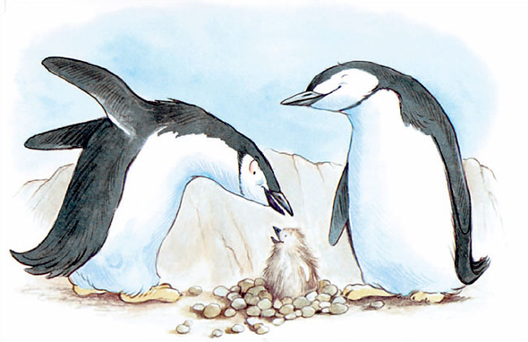 Featured image of post 《探戈的两个爸爸》绘本系列欣赏