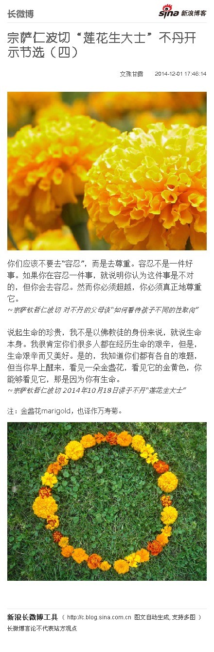 Featured image of post 宗萨仁波切开示